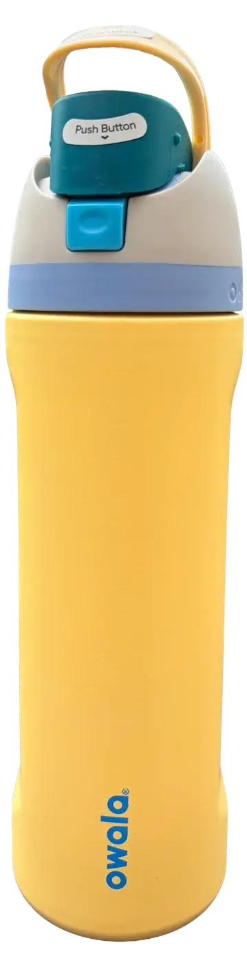 Owala 24oz FreeSip in Sunnydaze